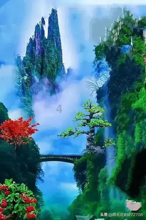 收集星星的高吉