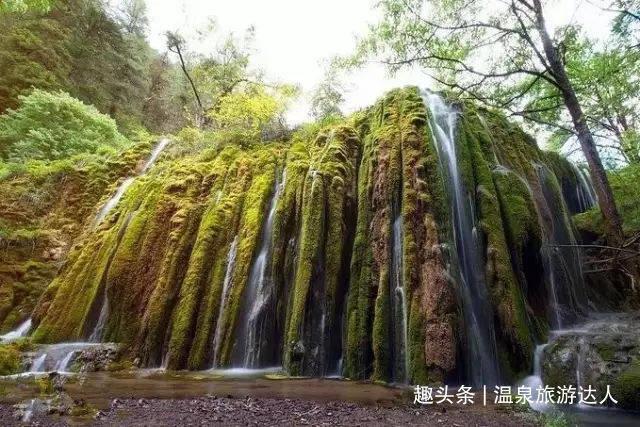 逃离野丛之森